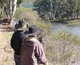 Rural / Farming commercial property for sale at Lot 36 Reedy Creek Road Tenterfield NSW 2372