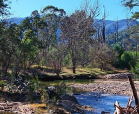 Rural / Farming commercial property for sale at Lot 4 Araluen Road Araluen NSW 2622