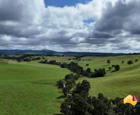 Rural / Farming commercial property for sale at Tarzali QLD 4885