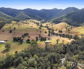 Rural / Farming commercial property for sale at 260 Thornside Road Widgee QLD 4570
