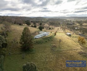 Rural / Farming commercial property for sale at 102 Browning Drive Armidale NSW 2350