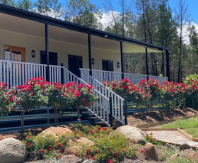 Rural / Farming commercial property for sale at 115 Smithfield Mundoey Road Smithlea QLD 4385