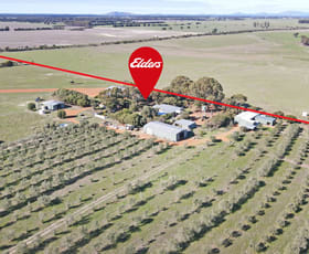 Rural / Farming commercial property for sale at 1544 Fisheries Road Myrup WA 6450