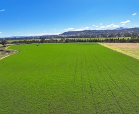 Rural / Farming commercial property for sale at 102 Wallamore Road Tamworth NSW 2340