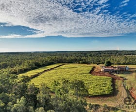 Rural / Farming commercial property for sale at 63 Griggs Road Eureka QLD 4660