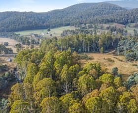 Rural / Farming commercial property for sale at Lot 1 Echo Valley Road Liena TAS 7304