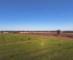 Rural / Farming commercial property for sale at 96 Murdoch Road Fairy Dell VIC 3561