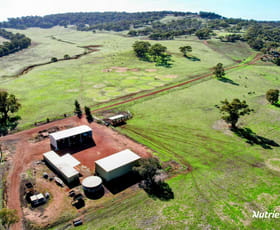 Rural / Farming commercial property for sale at 1530 Bindoon-Moora Road Mooliabeenee Bindoon WA 6502