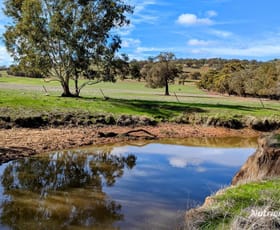 Rural / Farming commercial property for sale at 1530 Bindoon-Moora Road Mooliabeenee Bindoon WA 6502