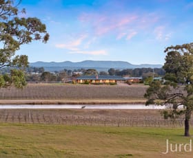 Rural / Farming commercial property for sale at 168 Lomas Lane Nulkaba NSW 2325