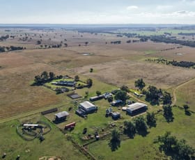 Rural / Farming commercial property for sale at 3761 Neilrex Road Neilrex NSW 2831