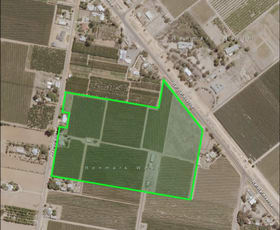 Rural / Farming commercial property sold at 55 Arumpo Street Renmark SA 5341