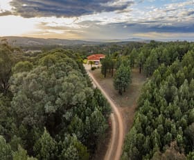 Rural / Farming commercial property for sale at 69 Sunset Lane Kapooka NSW 2661