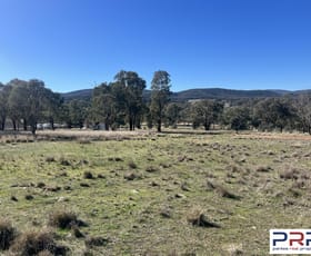 Rural / Farming commercial property for sale at 474 Lake Endeavour Road Parkes NSW 2870