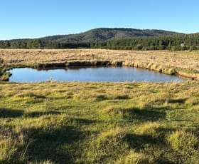 Rural / Farming commercial property for sale at 1556 Old Lawrence Road Deep Creek NSW 2469