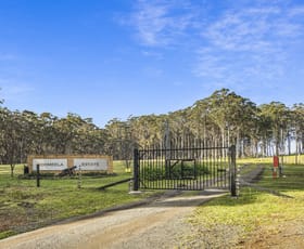 Rural / Farming commercial property for sale at 1177 Meryla Road Meryla NSW 2577