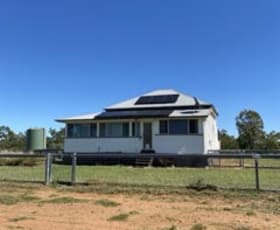 Rural / Farming commercial property for lease at 32 Daisybank Road Roma QLD 4455