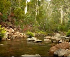 Rural / Farming commercial property for sale at Molesworth TAS 7140