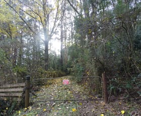 Rural / Farming commercial property for sale at 400 Upper Gellibrand Road Barramunga VIC 3249