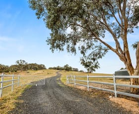 Rural / Farming commercial property for sale at 73 Mount Mcdonald Road Cowra NSW 2794