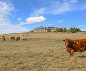 Rural / Farming commercial property for sale at 1525 Trunkey Road Georges Plains NSW 2795