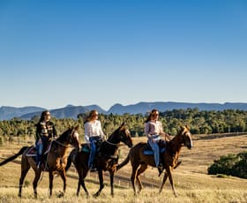 Rural / Farming commercial property for sale at Lot 1,2,3,4 & 5 Rosewood-Warrill View Road Coleyville QLD 4307