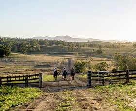 Rural / Farming commercial property for sale at Lot 1,2,3,4 & 5 Rosewood-Warrill View Road Coleyville QLD 4307