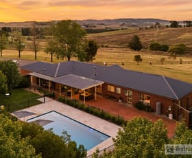Rural / Farming commercial property for sale at 451 White Rock Road White Rock NSW 2795