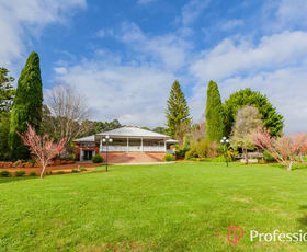 Rural / Farming commercial property for sale at 667 Seven Day Road Manjimup WA 6258