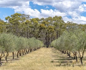 Rural / Farming commercial property for sale at Axedale VIC 3551