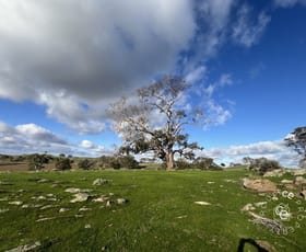 Rural / Farming commercial property for sale at 132/ Moss Smith Road Eden Valley SA 5235