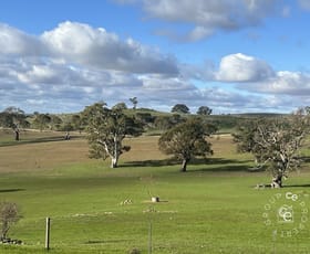 Rural / Farming commercial property for sale at 132/ Moss Smith Road Eden Valley SA 5235