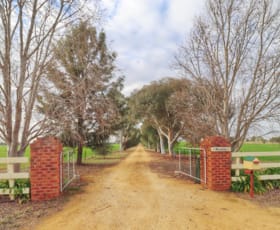 Rural / Farming commercial property for sale at 147 Noonbinna East Road Cowra NSW 2794