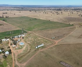 Rural / Farming commercial property for sale at 279 Hotchkiss Road Baradine NSW 2396