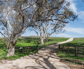 Rural / Farming commercial property for sale at Lot 2 Red Creek Road Highland Valley SA 5255