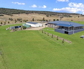 Rural / Farming commercial property for sale at 127 Dananbilla Drive Young NSW 2594