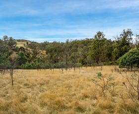 Rural / Farming commercial property for sale at Lot 1 Yarlington Road Colebrook TAS 7027