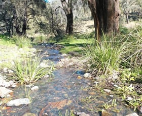 Rural / Farming commercial property for sale at 1022 Danglemah Road Limbri NSW 2352