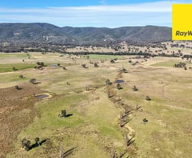 Rural / Farming commercial property for sale at 'Bimbadeen' Dry Creek Road Bundarra NSW 2359 Rural / Farming commercial property for sale at 'Bimbadeen' Dry Creek Road Bundarra NSW 2359