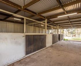 Rural / Farming commercial property for sale at 97 Glenthorne Road Glenthorne NSW 2430