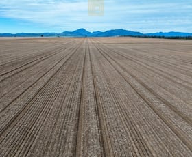 Rural / Farming commercial property for sale at 1046 Couradda Road Edgeroi NSW 2390