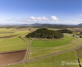 Rural / Farming commercial property for sale at 1523 Maraju Yakapari Road Balnagowan QLD 4740