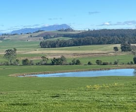 Rural / Farming commercial property for sale at 40 Davies Road Parkham TAS 7304