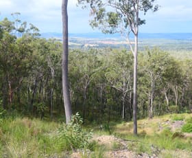 Rural / Farming commercial property for sale at 390 Bruxner Road Drake NSW 2469