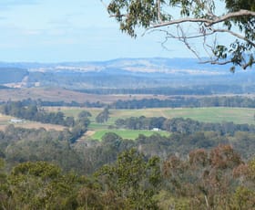 Rural / Farming commercial property for sale at 390 Bruxner Road Drake NSW 2469