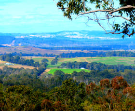 Rural / Farming commercial property for sale at 390 Bruxner Road Drake NSW 2469