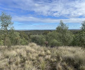 Rural / Farming commercial property for sale at 2939 Mosquito Creek Road Mosquito Creek QLD 4387