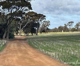 Rural / Farming commercial property for sale at . "Red Hill", Bagnalls Road Dumbleyung WA 6350