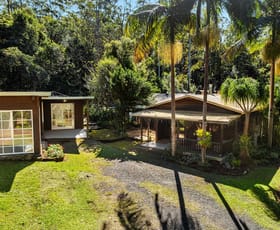 Rural / Farming commercial property for sale at 141 Bertoli Road Jiggi NSW 2480