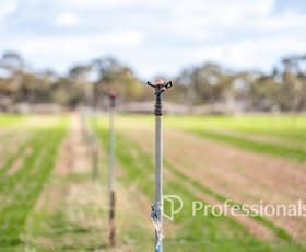Rural / Farming commercial property for sale at Cnr Norman Road Merbein West VIC 3505